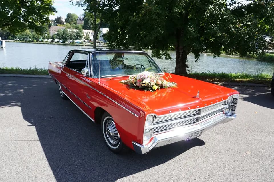 EI Bon Thierry — photo 1