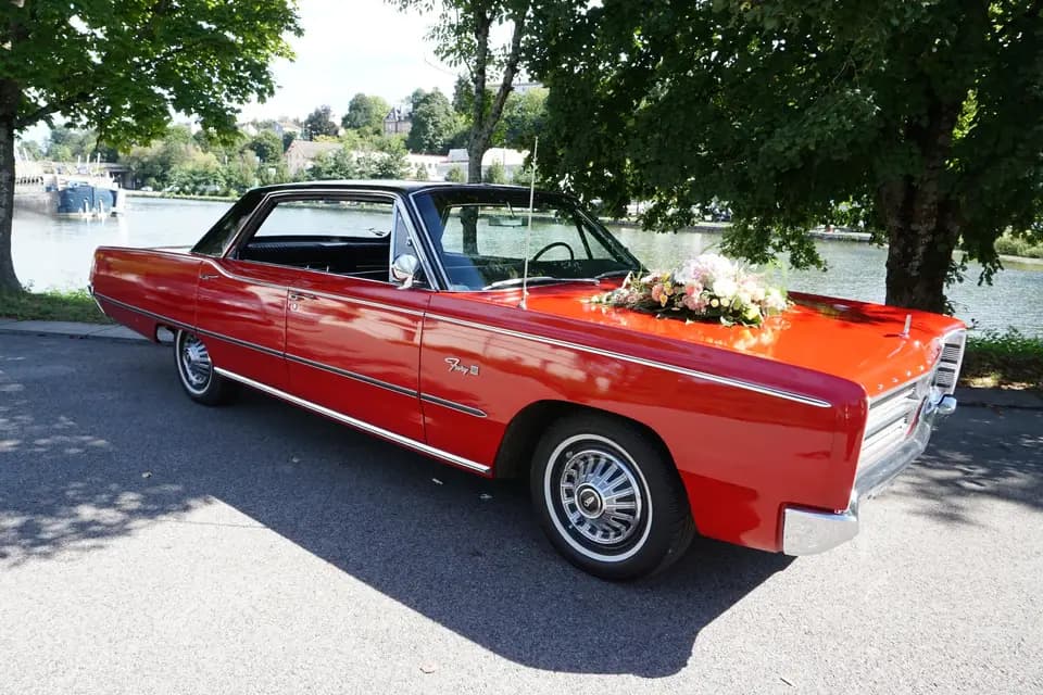 EI Bon Thierry — photo 3