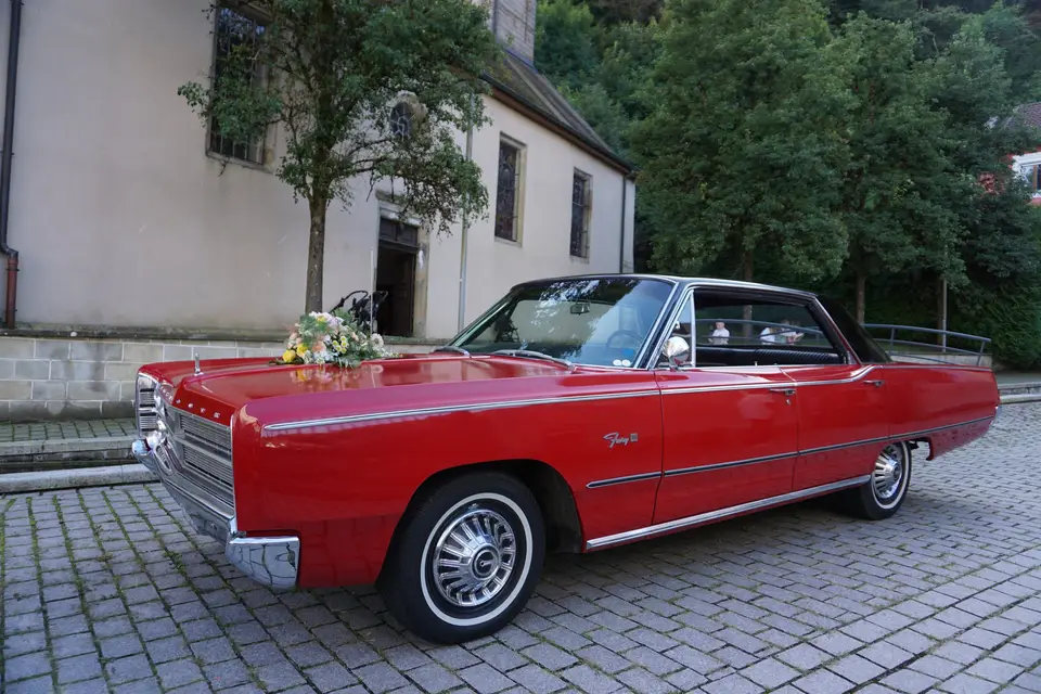 EI Bon Thierry — photo 2