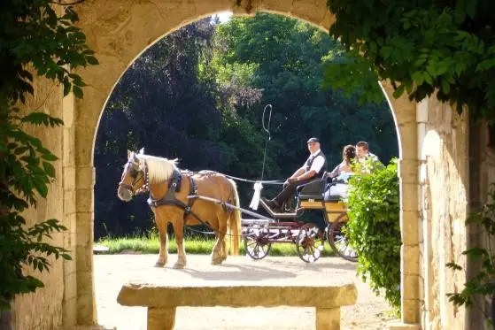 Association a Trait et Escapade — photo 2