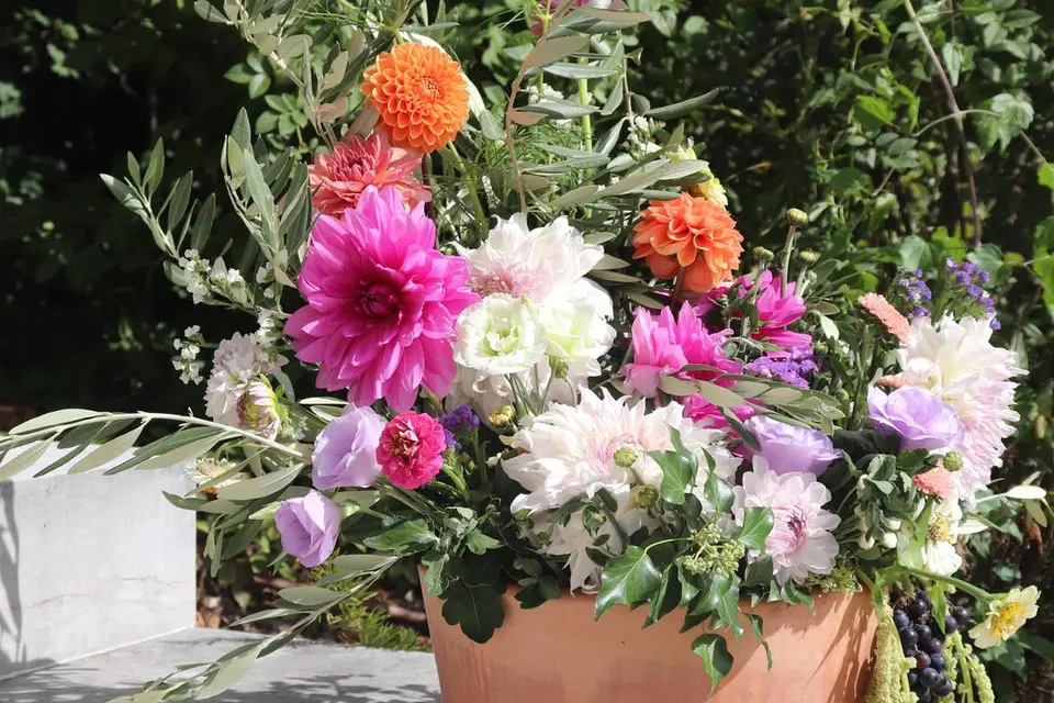 Maison Raspail — photo 1