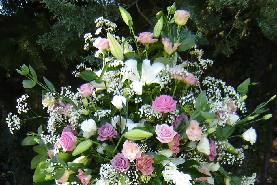 Les Fleurs de L´Amour — photo 7