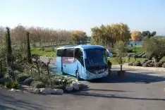 Philibert  — photo 4