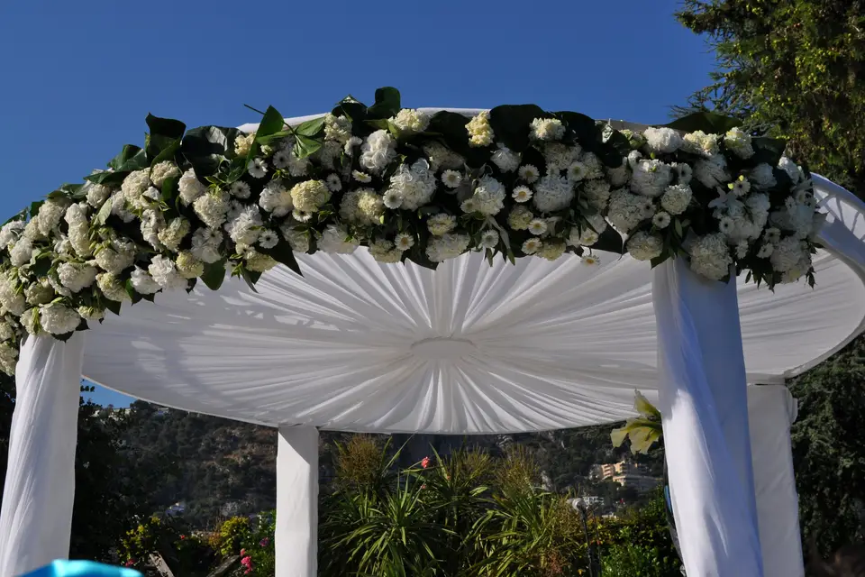 Delux Event Official — photo 2