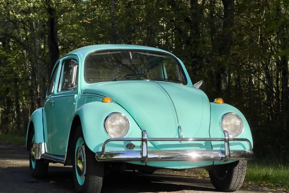 L'intention Vintage — photo 8