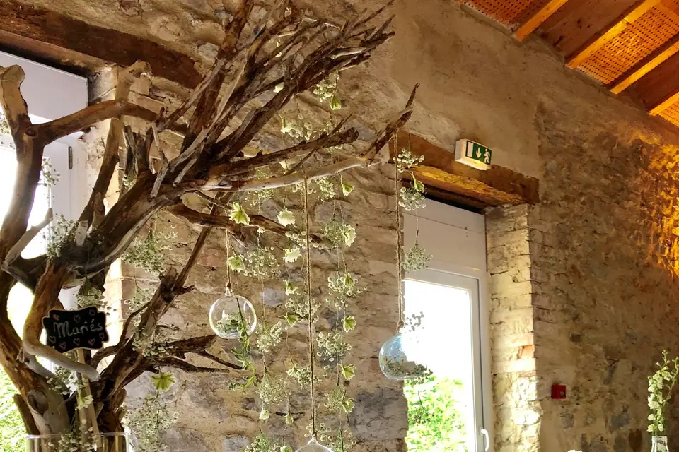 Fleurs d'Eucharis — photo 7