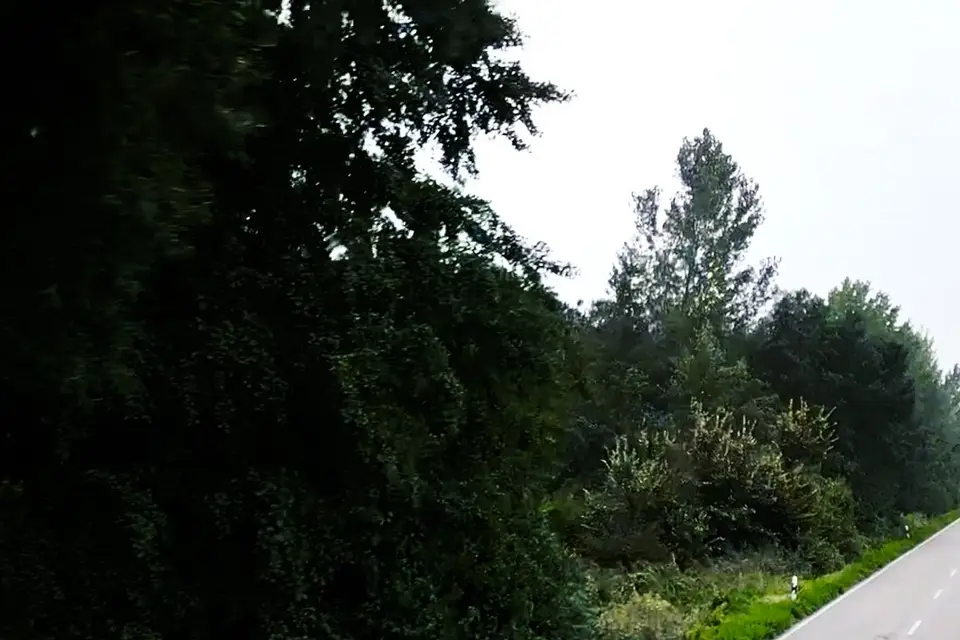 Roch Transport — photo 5