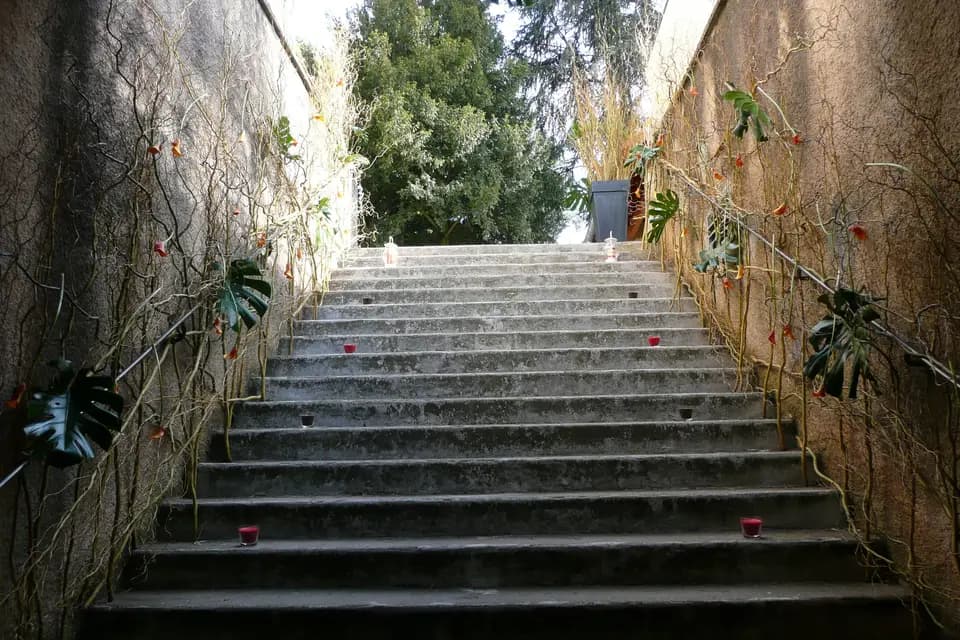 Caveau de Morgon — photo 2