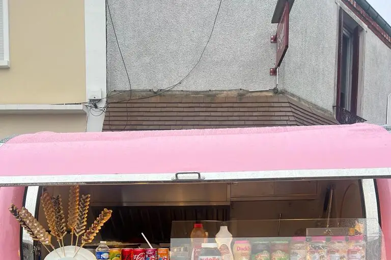 WS Truck — photo 6