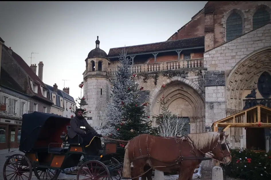 Les écuries des cents moulins — photo 5