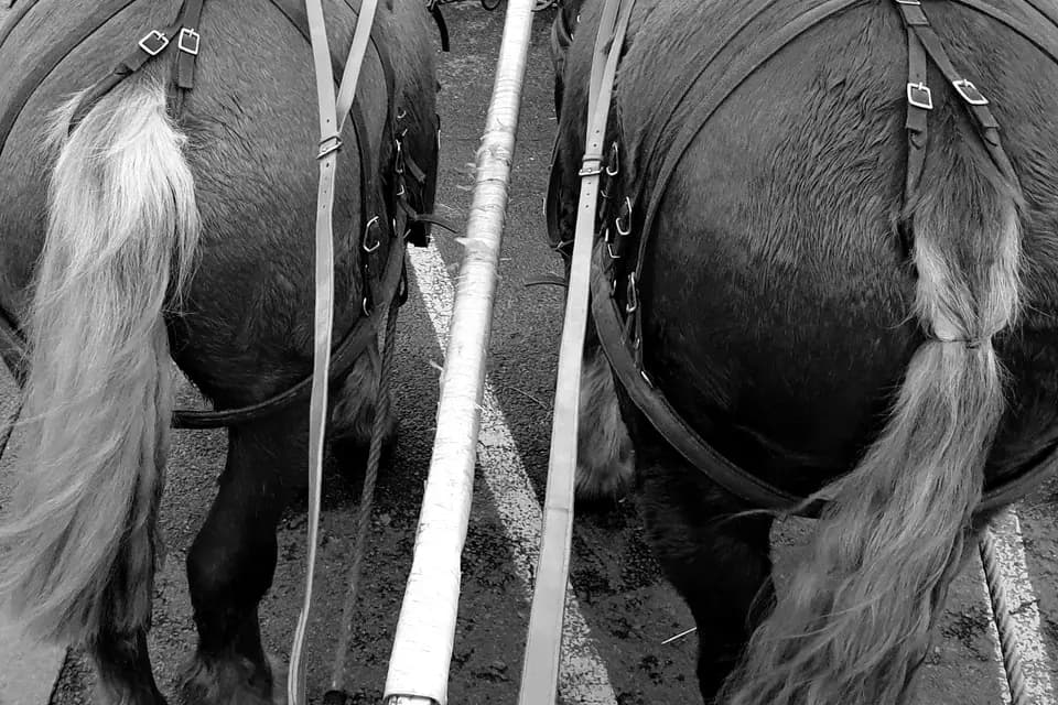 Les écuries des cents moulins