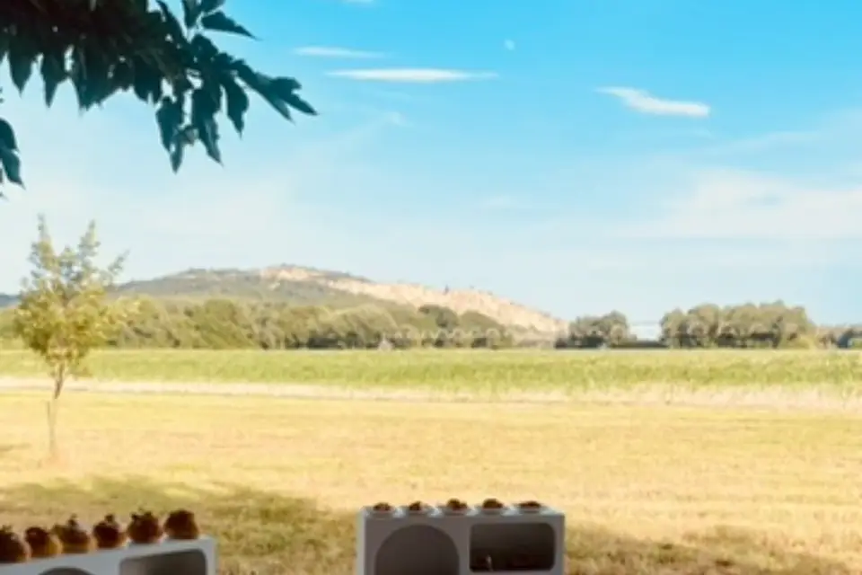 Traiteur de Rêve — photo 7