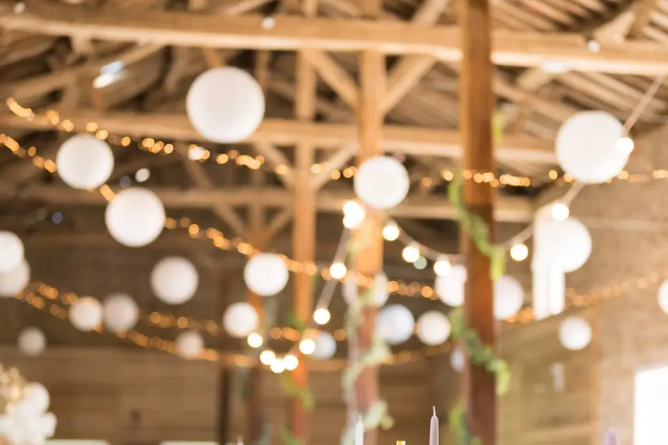 Domaine de la Grange Lecomte — photo 3