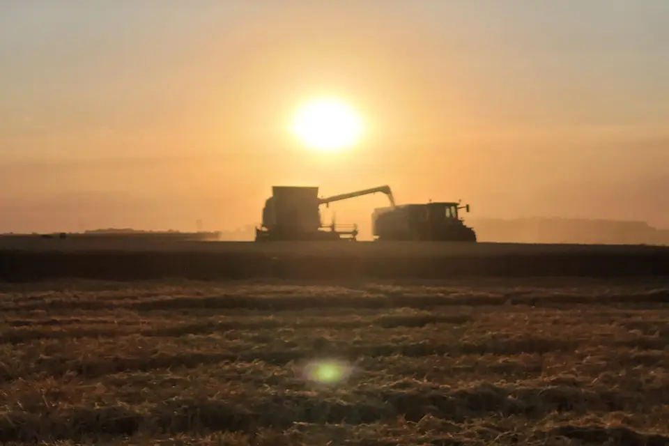 Biere La Gatine — photo 5