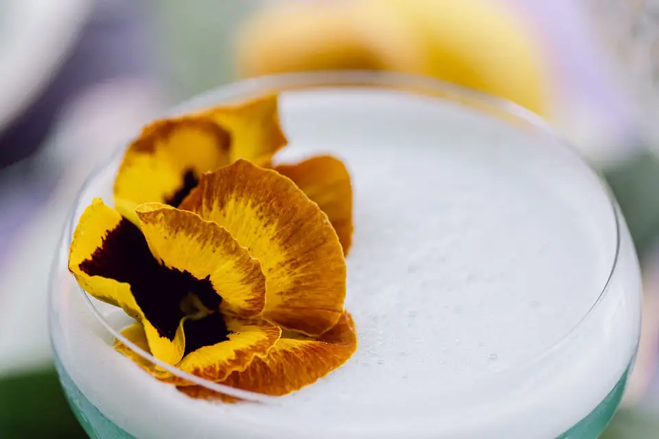 Le Cocktail Nomade — photo 8