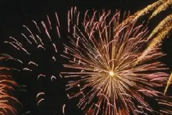 L'Arlequin — photo 6