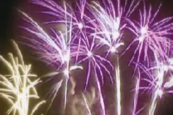 L'Arlequin — photo 5