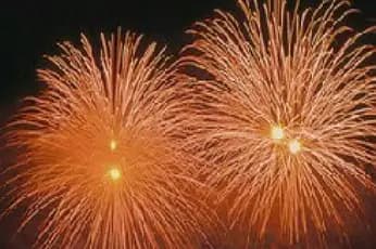 L'Arlequin — photo 1