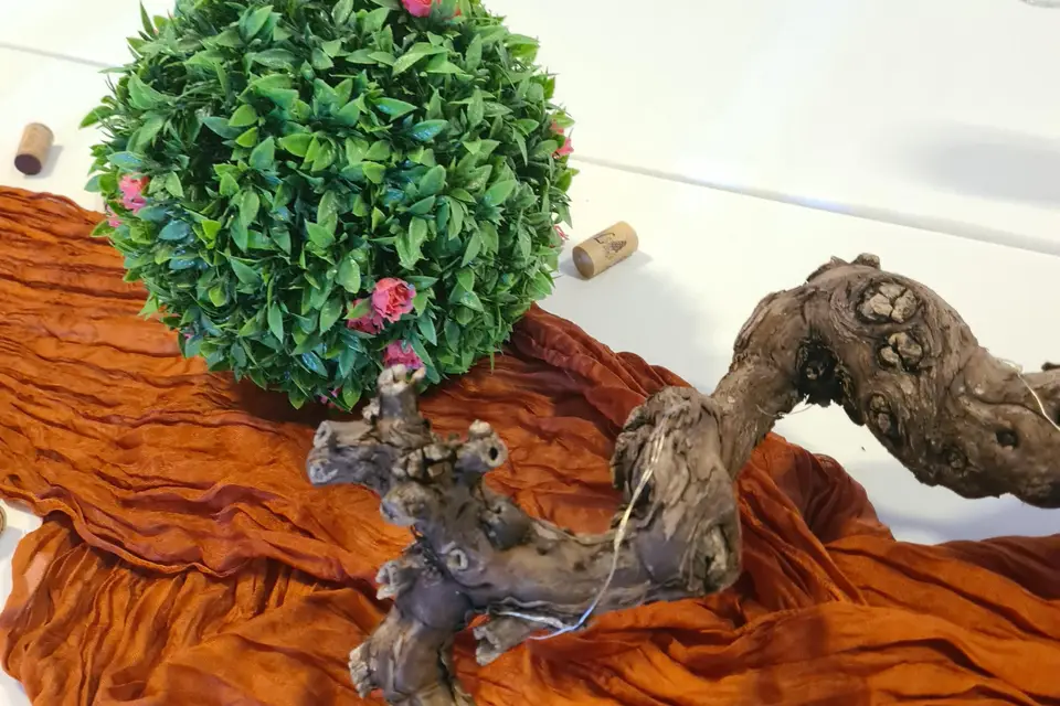 Ellora Events — photo 8