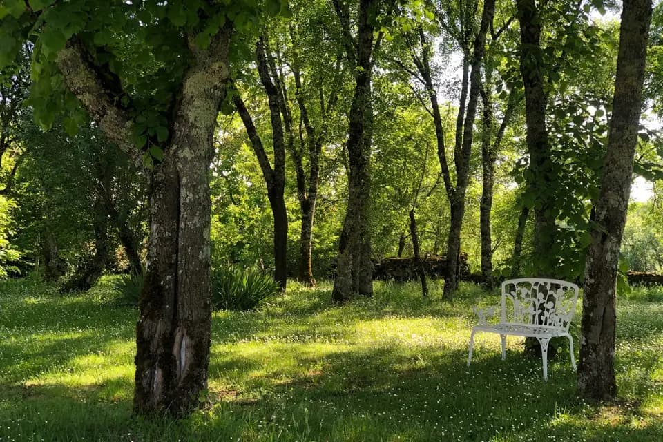 Domaine de Monplaisir — photo 7