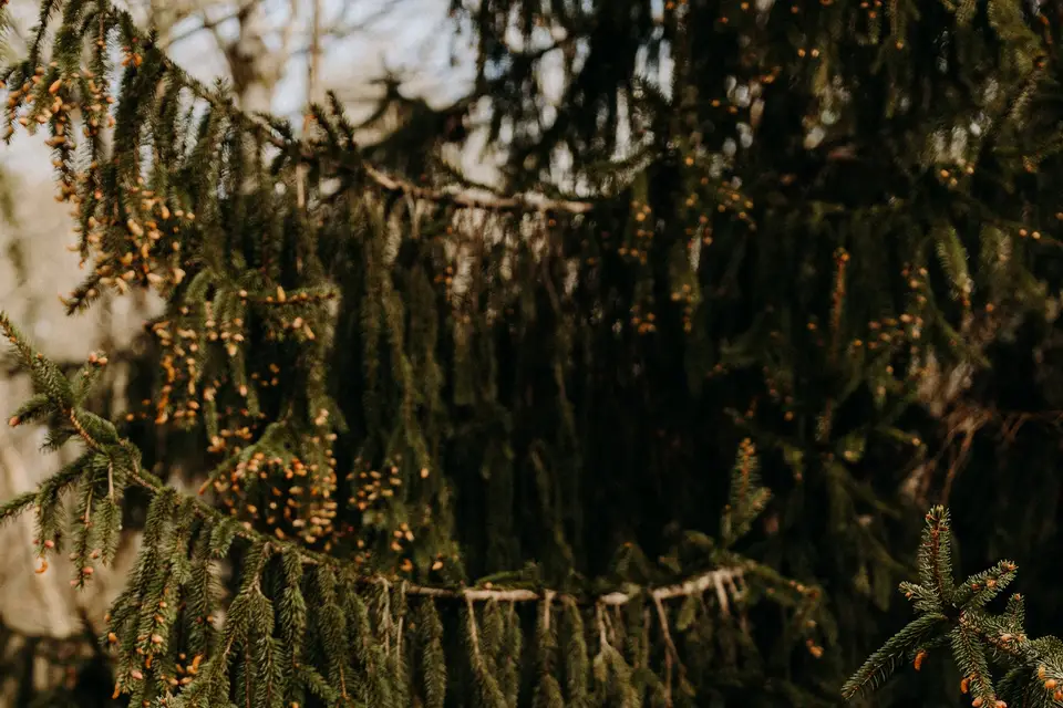 Palmer Film — photo 7