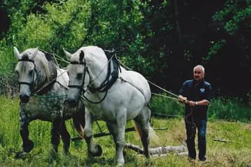 Les Attelages Dompierrois — photo 1