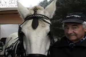 Les Attelages Dompierrois — photo 2