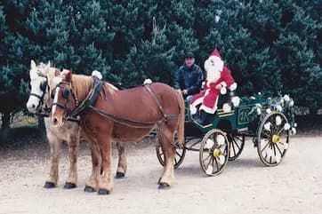 Les Attelages Dompierrois — photo 4