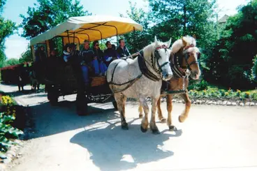 Les Attelages Dompierrois — photo 5