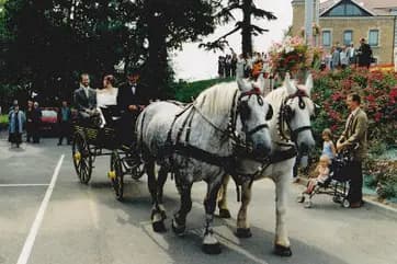 Les Attelages Dompierrois — photo 7