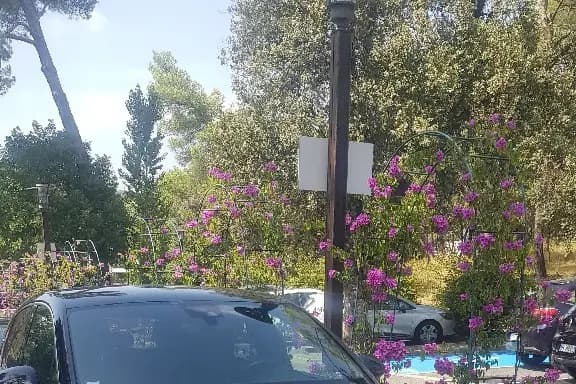 Au Pays du Mariage — photo 8