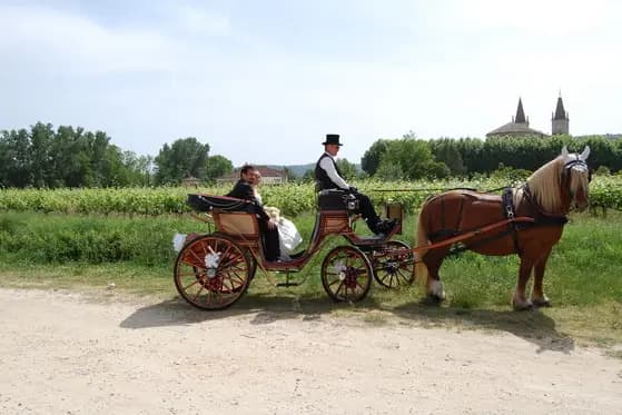 Ferme Équestre La Teulière — photo 1
