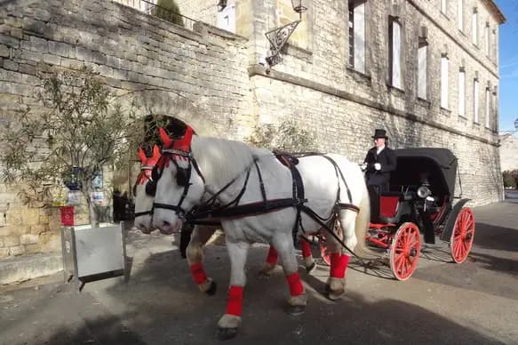 Ferme Équestre La Teulière — photo 2