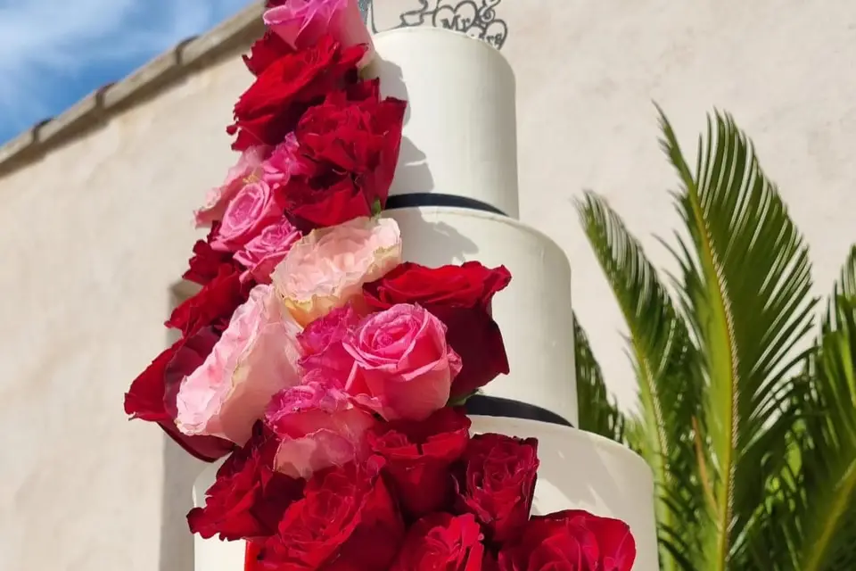 Passion cake's — photo 7