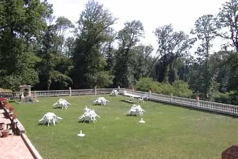 Domaine de Fragan — photo 5