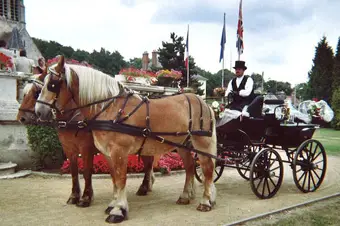 Les Attelages d'Antan — photo 1