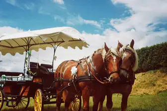 Les Attelages d'Antan — photo 5