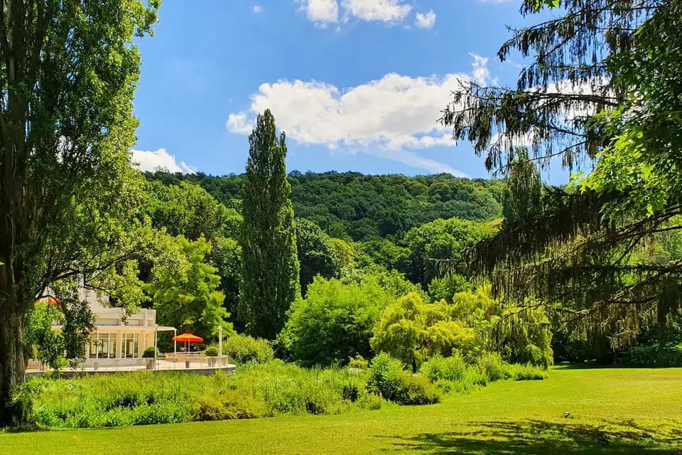 Domaine de Saint Paul — photo 3