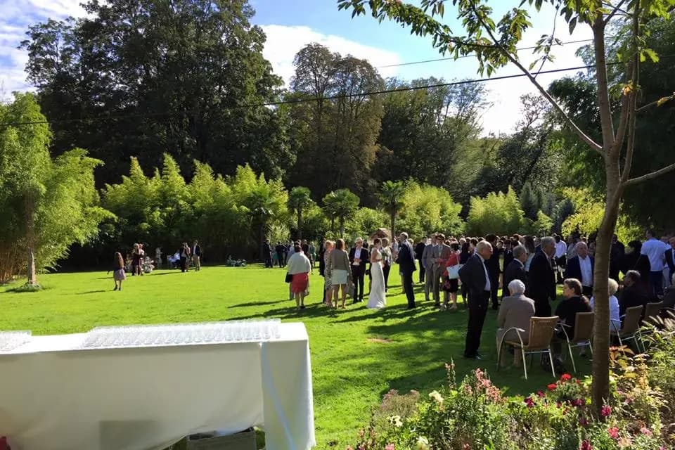 Max Music — photo 4