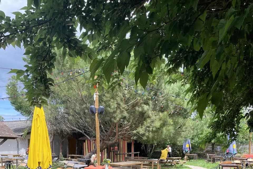 O Albaredes — photo 5