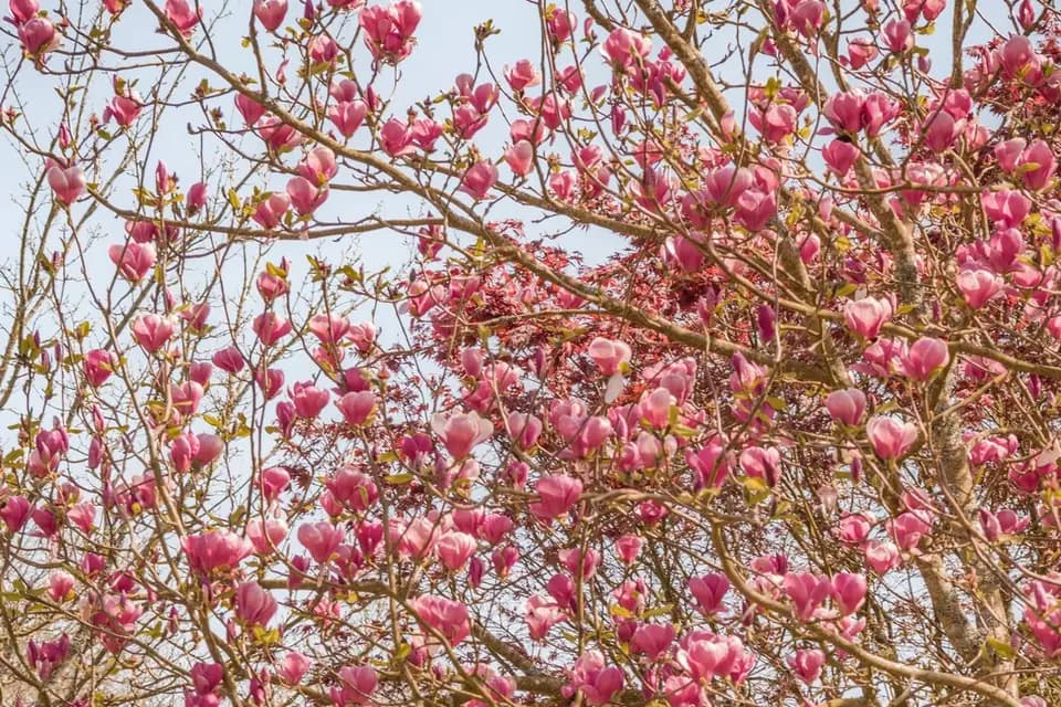 Les Photos d'Anns0w — photo 8