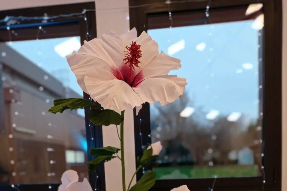 Cœur Papier — photo 1