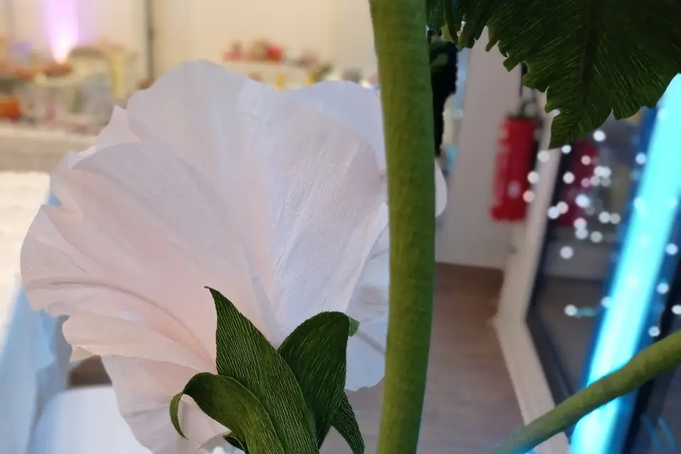 Cœur Papier — photo 2