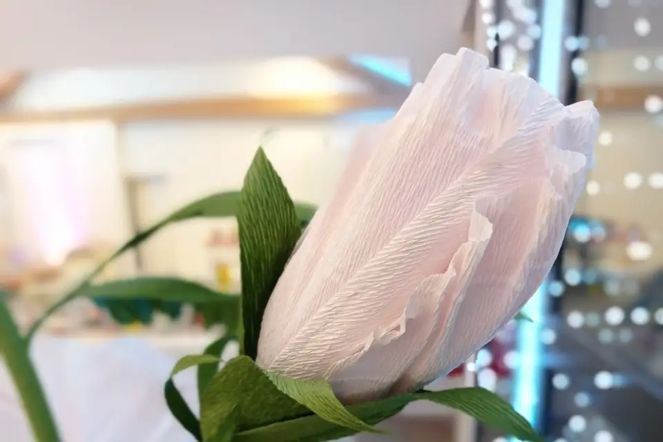 Cœur Papier — photo 4