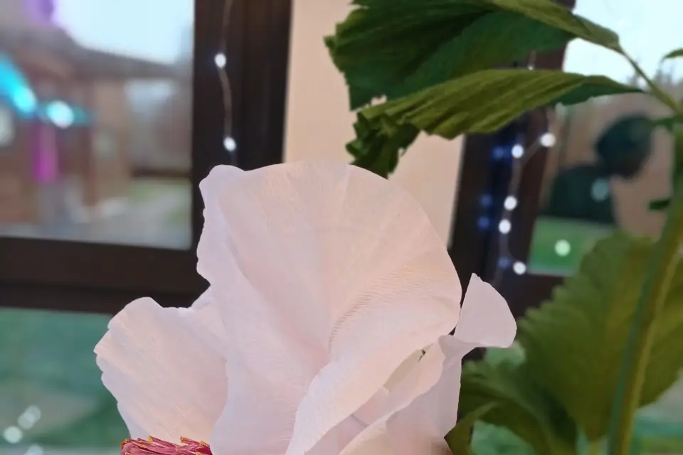 Cœur Papier — photo 3