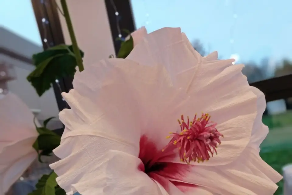 Cœur Papier — photo 5