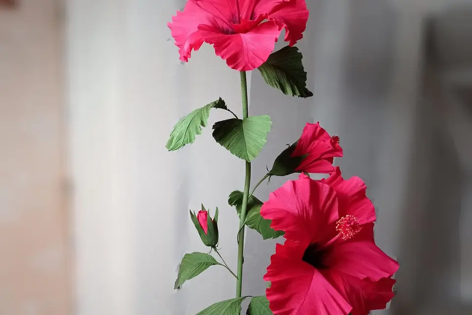 Cœur Papier — photo 6