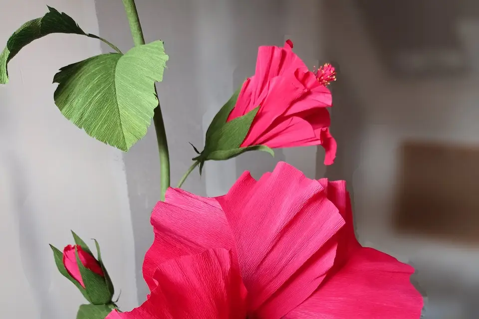 Cœur Papier — photo 8