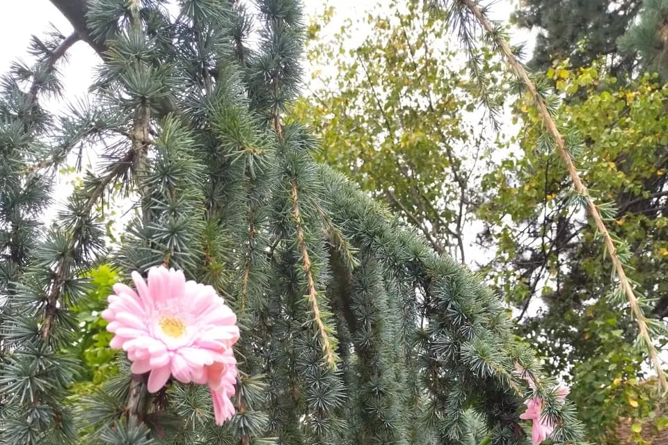 S'unir autrement — photo 8