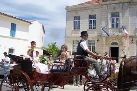 Jumenterie de La Broussardière — photo 2